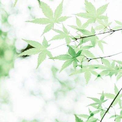 英雄传说晓之轨迹手游国服