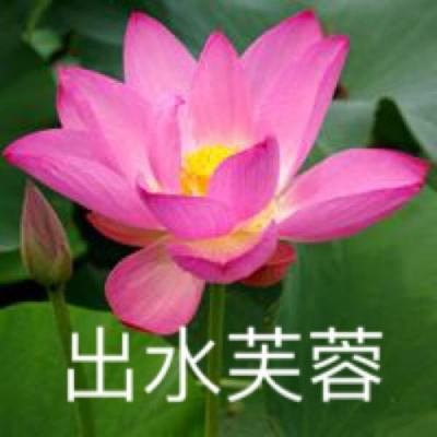 阴阳师智走棋国际版下载