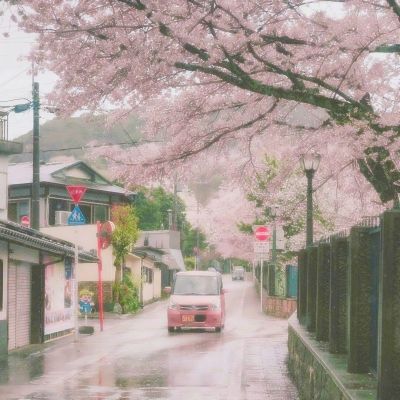 block休闲城市内购破解版下载